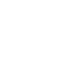 Chaser yachts logo